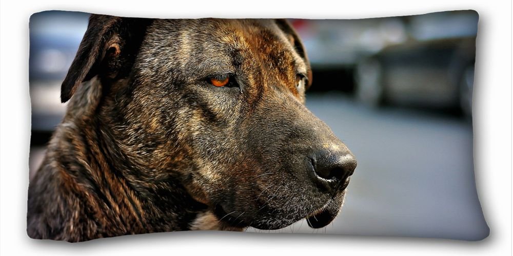 

Decorative King Pillow Case Animals dog view friend 20"*36" One Side