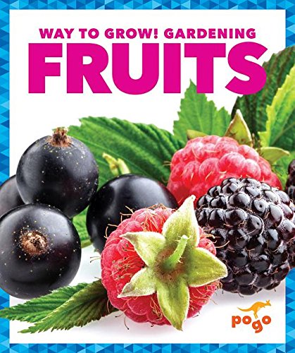 Fruits by Rebecca Pettiford