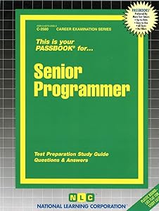 Senior Programmer (Career Examination Series)