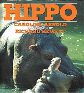 Hippo