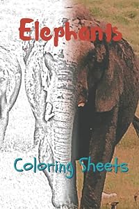 Elephant Coloring Sheets: 30 elephant drawings,coloring sheets adults relaxation, coloring book for kids, for girls, volume 15