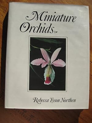 Miniature orchids