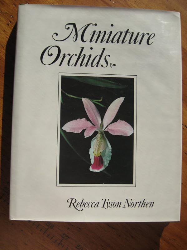 Miniature orchids by Rebecca Tyson Northen