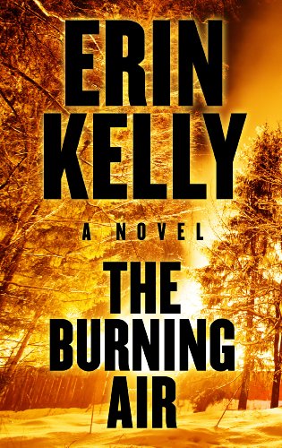 The Burning Air by Erin Kelly