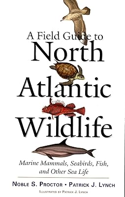 A Field Guide to North Atlantic Wildlife: Marine Mammals, Seabirds, Fish, and Other Sea Life