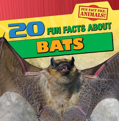 20 Fun Facts about Bats by Heather Moore Niver