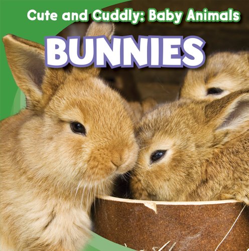 Bunnies by Grace Elora