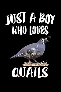 Just A Boy Who Loves Quail: Animal Nature Collection