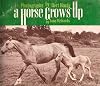A Horse Grows Up