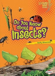 Do You Know About Insects?