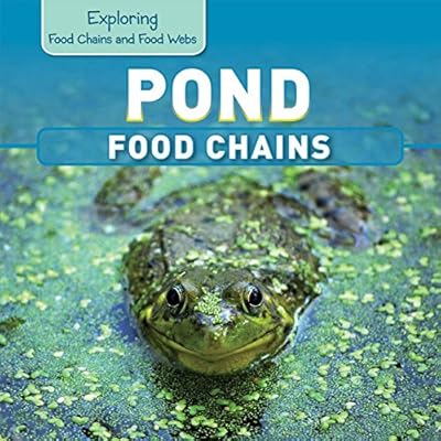 Pond Food Chains