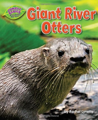 Giant River Otters by Rachel Lynette
