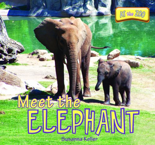 Meet the Elephant (At the Zoo) by Susanna Keller