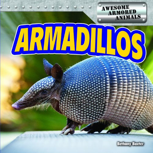 Armadillos by Bethany Baxter