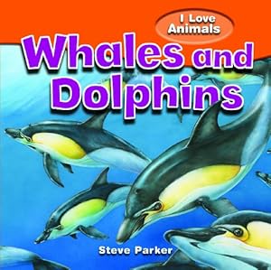 Whales and Dolphins
