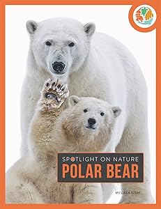Polar Bear (Spotlight on Nature)