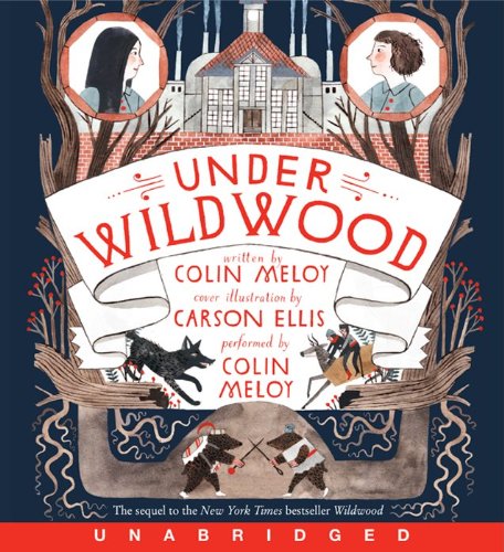 Under Wildwood CD by Colin Meloy