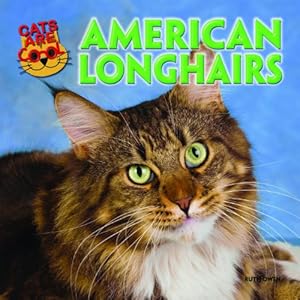 American Longhairs