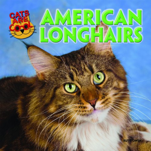 American Longhairs by Ruth Owen