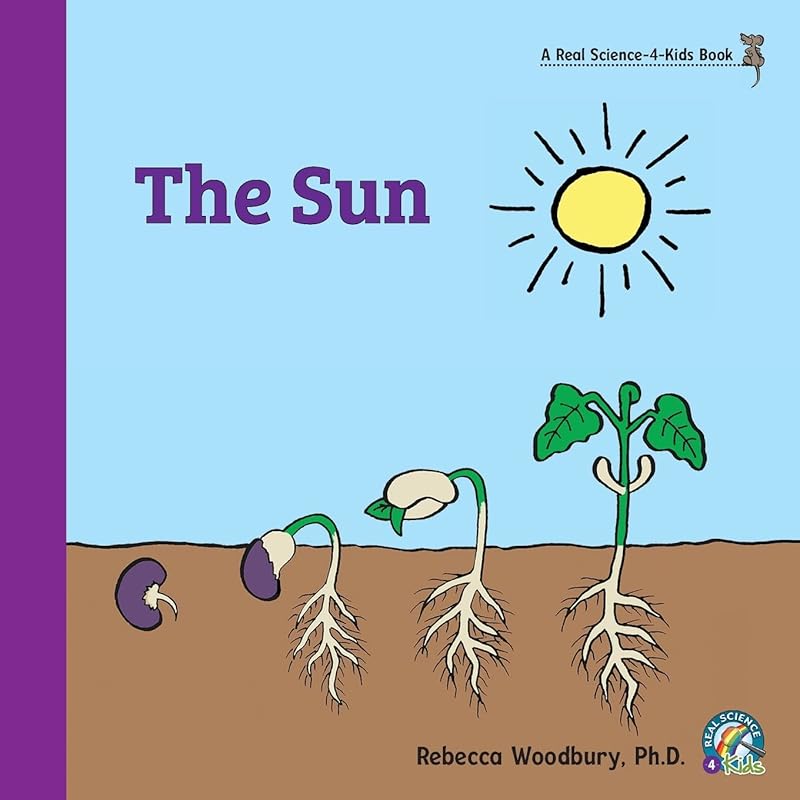 The Sun by Rebecca Woodbury PH D