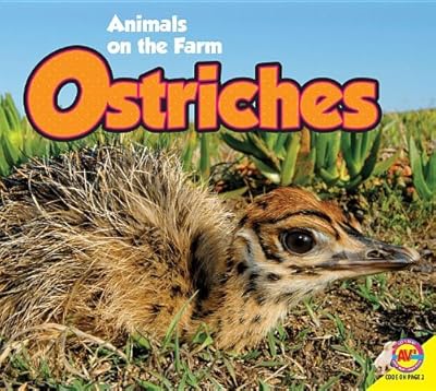 Ostriches