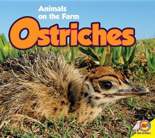 Ostriches by Anita Yasuda