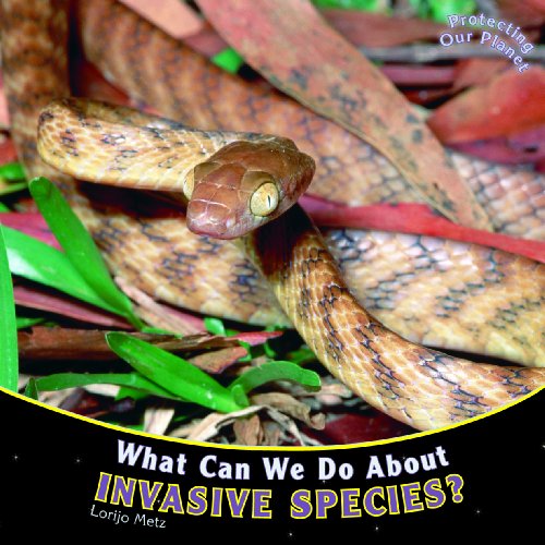 What Can We Do about Invasive Species? by Lorijo Metz