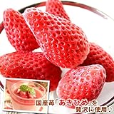 静岡県産 ひんやりいちご(冷凍苺)1kg入