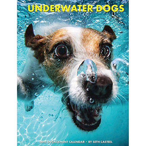 Underwater Dogs 2015 Weekly Engagement Calendar