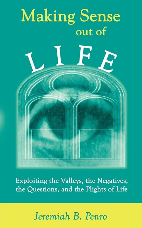 Making Sense Out of Life: Exploiting the Valleys, the Negatives, the Questions, and the Plights of Life by Jeremiah B. Penro