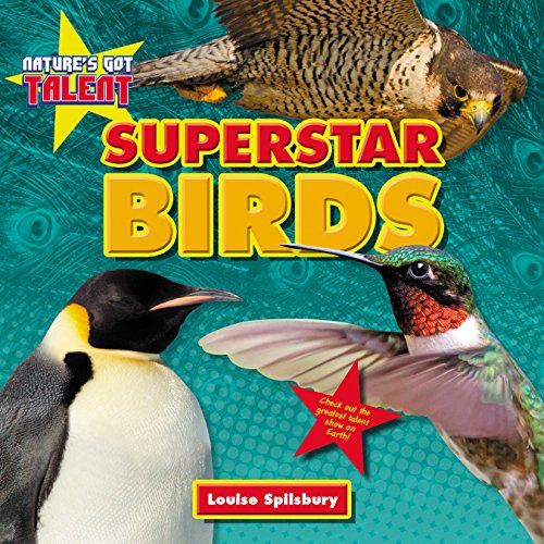 Superstar Birds by Louise Spilsbury