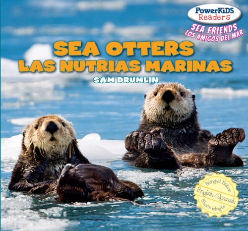 Sea Otters / Las nutrias marinas by Sam Drumlin