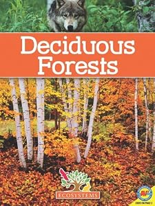 Deciduous Forests