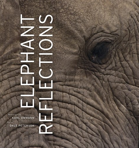 Elephant Reflections by Karl Ammann