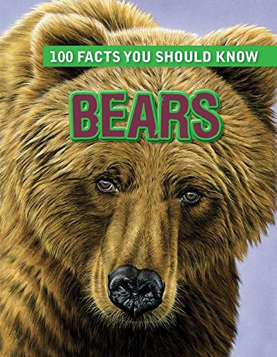 Bears by Camilla De la BeÌdoyeÌ€re