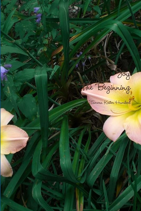 Joy, The Beginning by Tamera Humbert