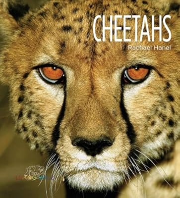 Cheetahs