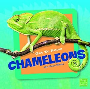 Get to Know Chameleons
