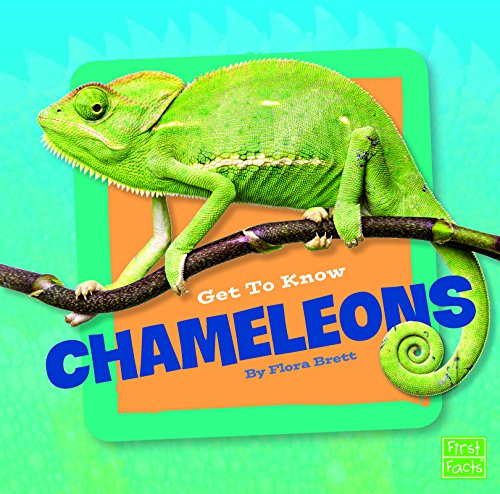 Get to Know Chameleons by Flora Brett