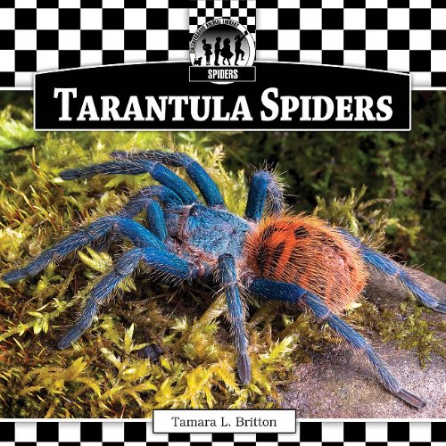 Tarantula Spiders by Tamara L. Britton