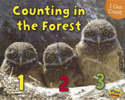 Counting in the Forest by Rebecca Rissman