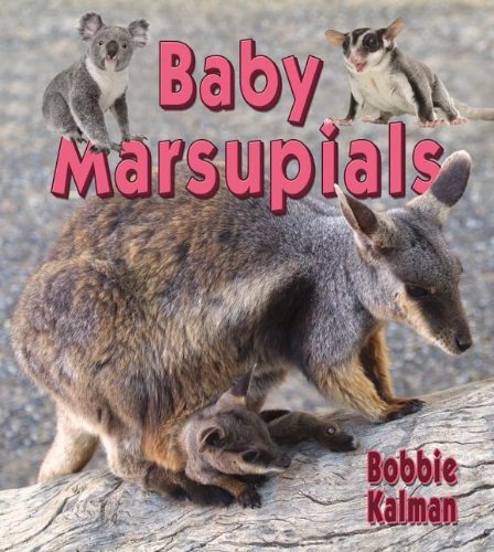 Baby Marsupials (It's Fun to Learn about Baby Animals) by Bobbie Kalman