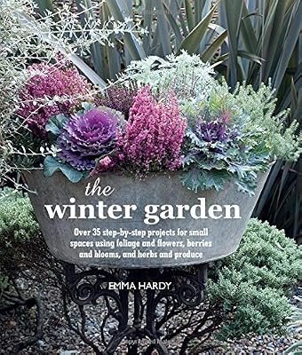 The Winter Garden: 35 Step-by-step Projects Using Foliage and Flowers, Berries and Blooms
