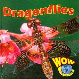 Dragonflies