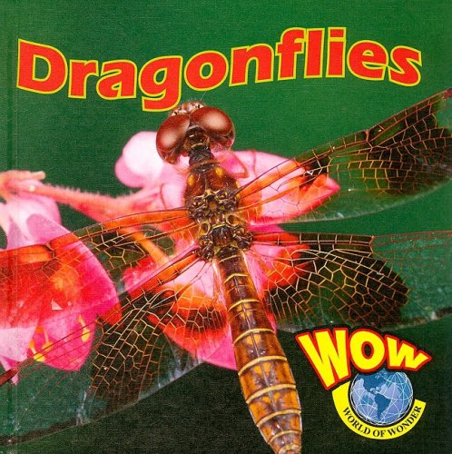 Dragonflies by Heather C. Hudak