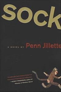 Sock: A Novel