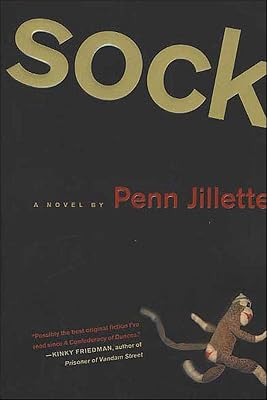 Sock: A Novel