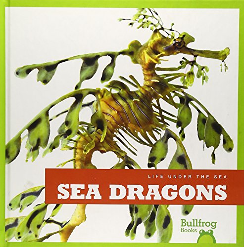 Sea Dragons by Cari Meister