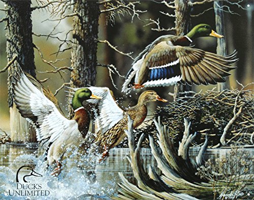 Ducks Unlimited Beaver Pond Tin Sign Tin Sign , 16x13