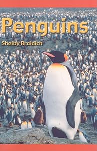 Penguins (Journeys)